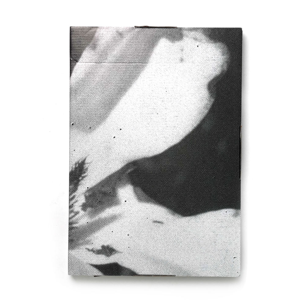 ANOTHER MAN LIMITED EDITION BOX RYU IKA COVER / FRANK LEBON ZINE / DAISUKE YOKOTA SILK SCREENED BOX