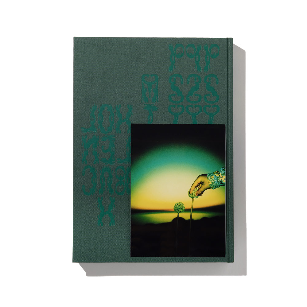 PSYLYF BOOK B